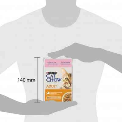 Вологий корм для кішок Purina Cat Chow Adult з лососем і зеленою квасолею в желе 85г (7613036595063) Вінниця