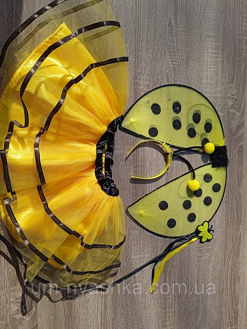 Дитячий карнавальний костюм Бджілки Кривий Ріг - фото 2