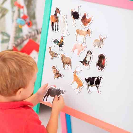 Набор магнитов Magdum 