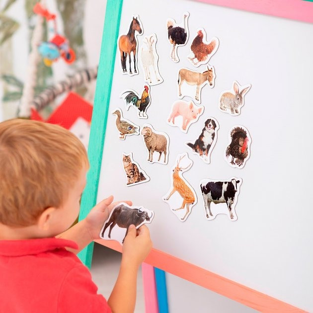 Набор магнитов Magdum 