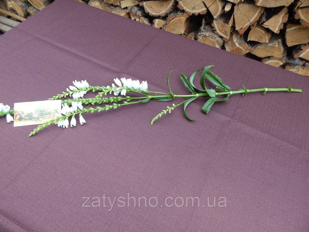 Скатерть коричневая с ажуром по боках Киев - изображение 4