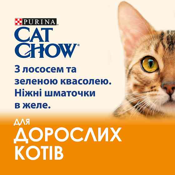 Вологий корм CAT CHOW Adult для дорослих котів, шматочки в желе, з лососем та зеленою квасолею, 10x85 г Київ