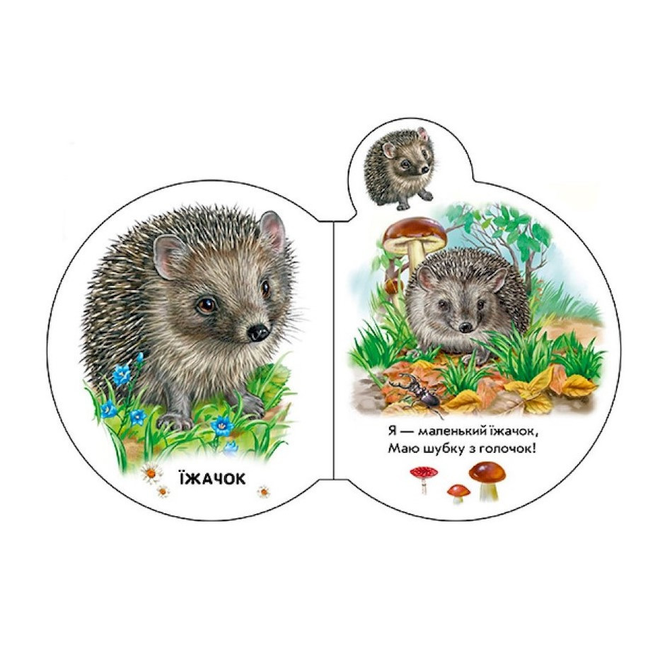 Картонная книжечка для самых маленьких Малыши : В лесу 411017 аудио-бонус Винница - изображение 4