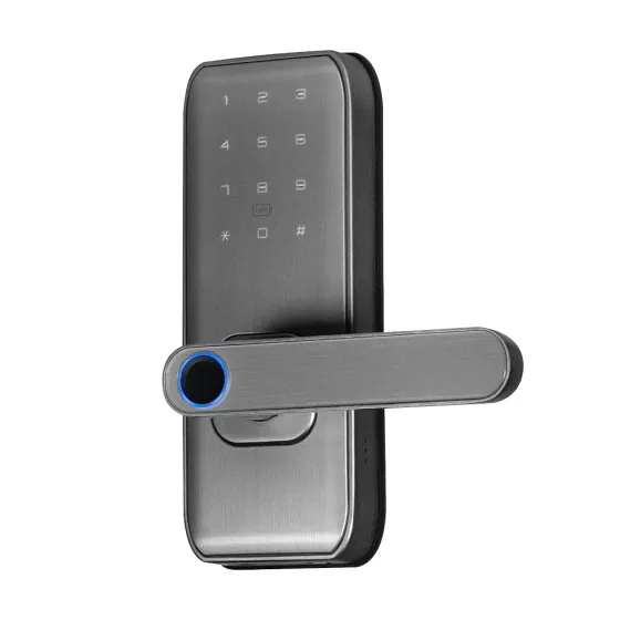 Замок біометричний автономний Trinix TRL-5406BTF Silver L/R з Bluetooth, зчитувачем відбитків пальців і карт Mifare (65-00089) Киев