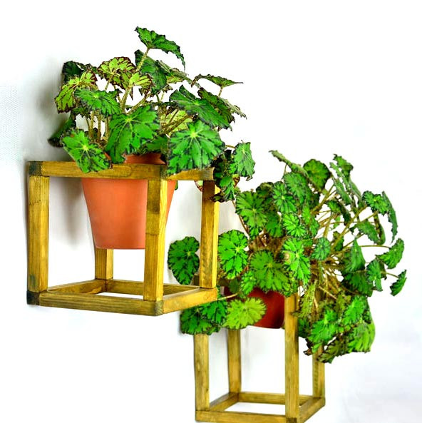 Полиця настінна для квітів "Орізонті model A" каррі Миколаїв - фото 3