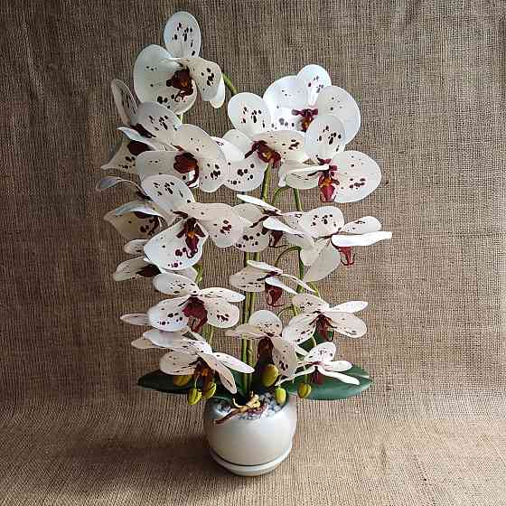 Штучна латексна орхідея VIP у пудровому керамічному кашпо на дві гілки біла в крапку Дніпро
