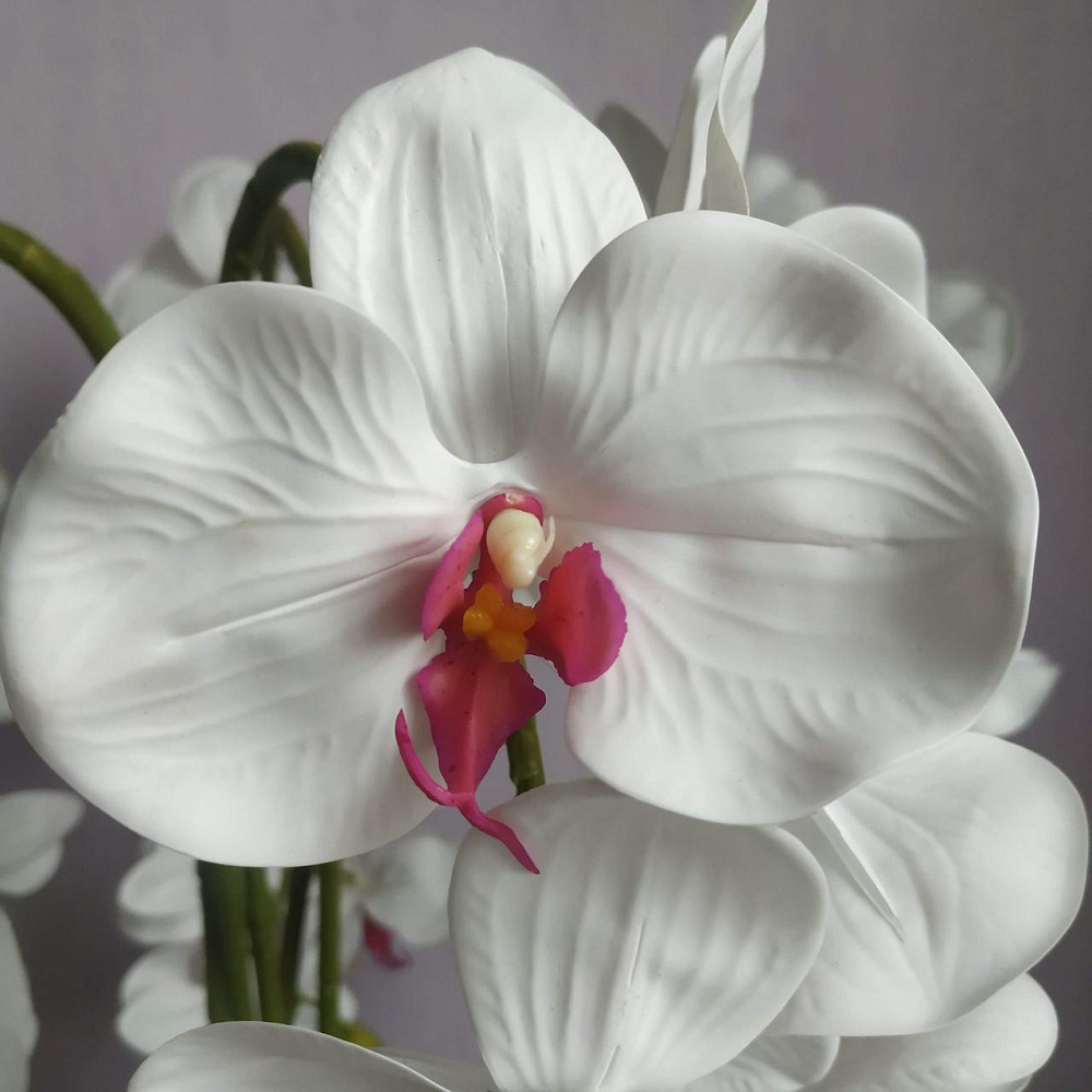 Штучна латексна орхідея преміум в білому керамічному кашпо на п'ять гілок біло-малинова Дніпро - фото 5