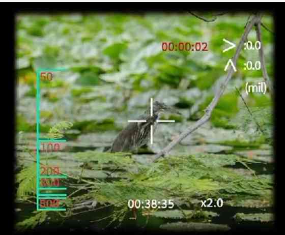 Цифровой  Приціл нічного бачення (в день також) BINOC Киев