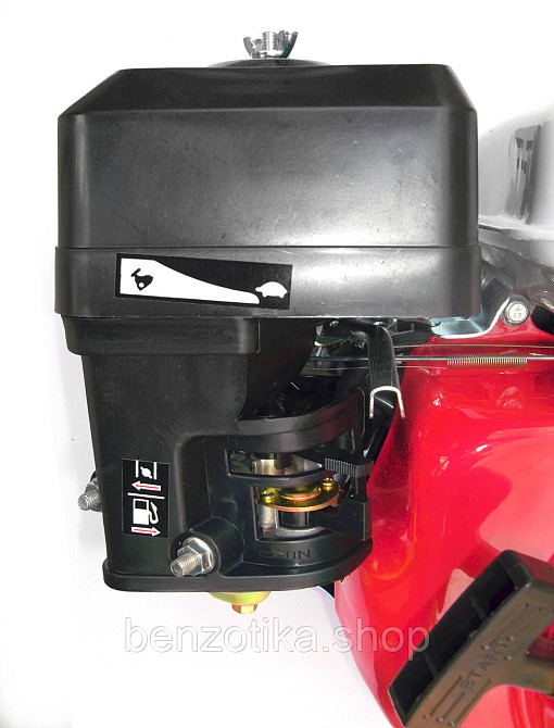 Бензиновый двигатель VORSKLA ПМЗ 196/20 Киев - изображение 2