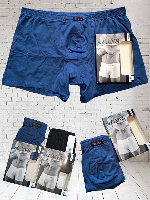 Мужские трусы транки Lans однотонные Lans 06/005 L Киев - изображение 1