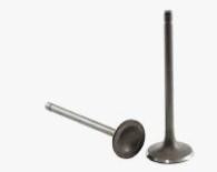 Клапани (пара, голі) PR 250 ST Київ - фото 1