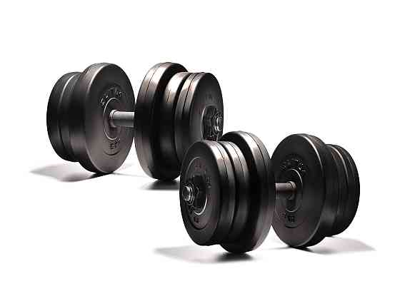 Гантелі Elitum 2 х 21кг Киев