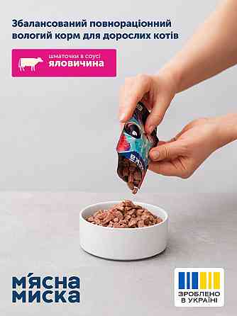 Вологий корм для дорослих котів М'ясна миска шматочки в соусі з яловичиною, 100 г Вінниця