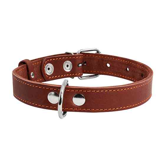 Нашийник "CoLLaR" одинарний (ширина 35мм, довжина 48-63см) коричневий Київ