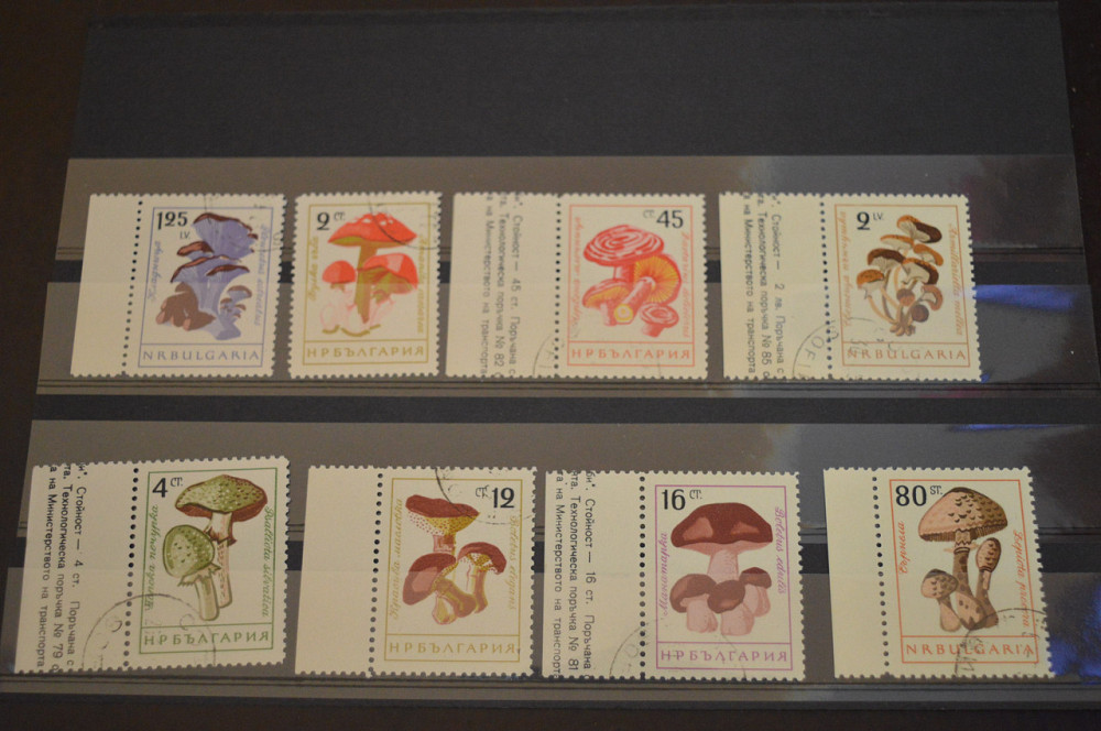 Марки. Серия. Болгария (гаш.) Полтава - изображение 1