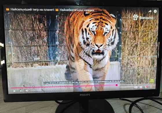 Монітор Phillips 246V5L Київ