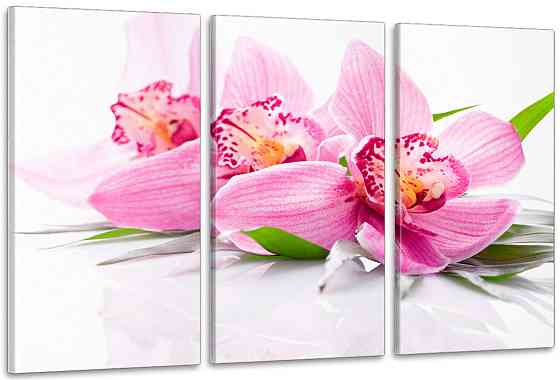Модульна картина у вітальню/ спальню  Орхідея   ART-300_3A Київ