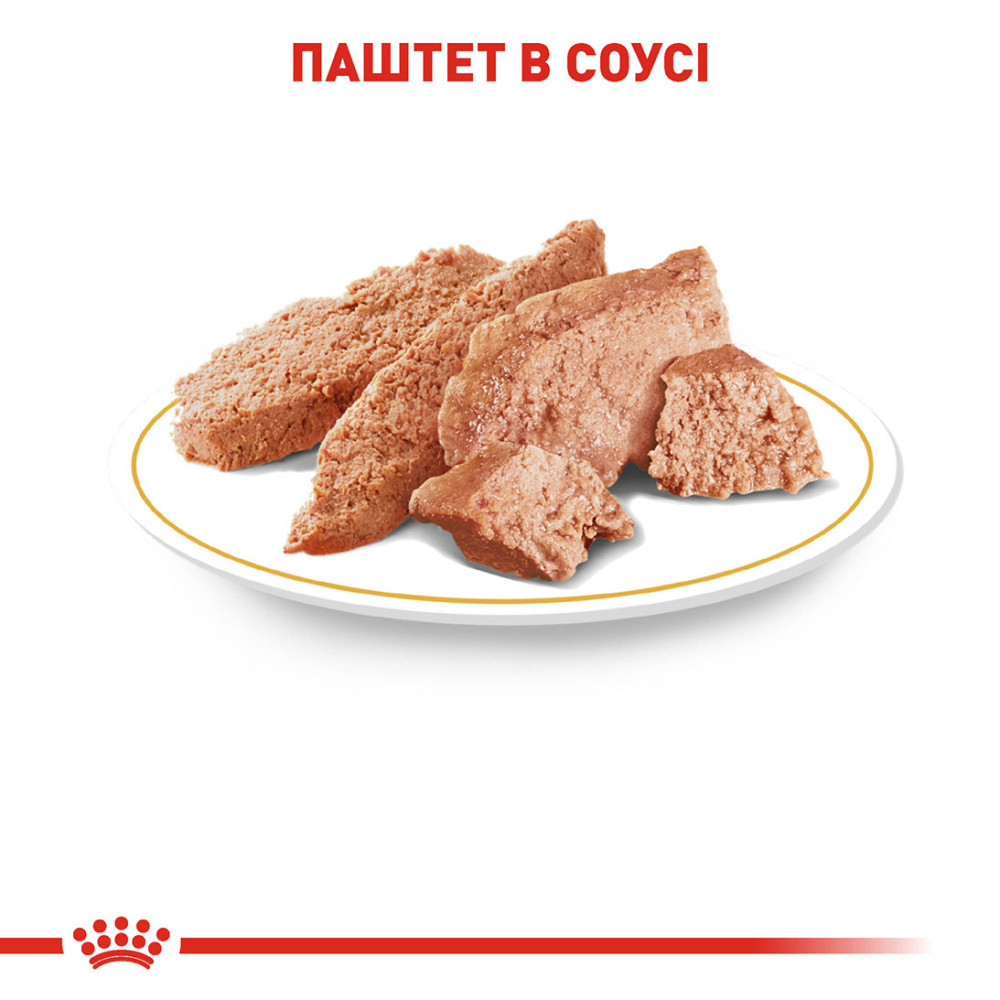 Вологий корм для дорослих собак ROYAL CANIN CHIHUAHUA ADULT 0.085 кг Київ - фото 4
