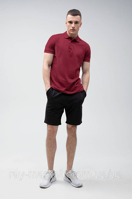 Костюм поло бордовое и шорты черные RAY BASIC U9007-Bordeaux-Black L Киев - изображение 1