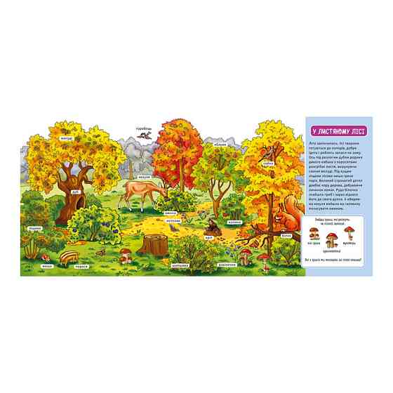 Мій перший словничок "У лісі" Ранок 116032 з віконцями Вінниця