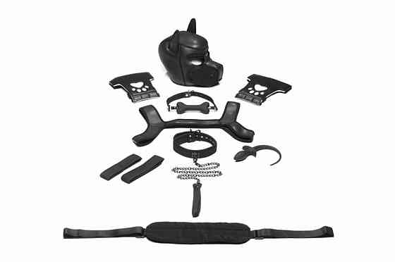 Набор BDSM щенка Master Series Luxury Pup Arsenal Set - Black Sex Aura Киев