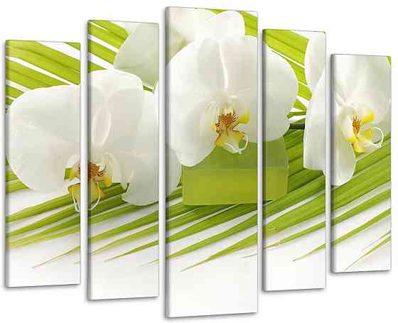 Модульна картина Орхідея Art-33_5 Київ