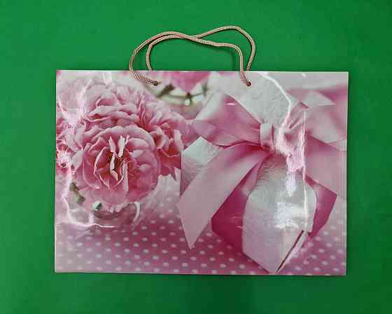 Паперовий великий горизонтальний пакет 36/22/10 (артBG-002) (12 шт.) Харків