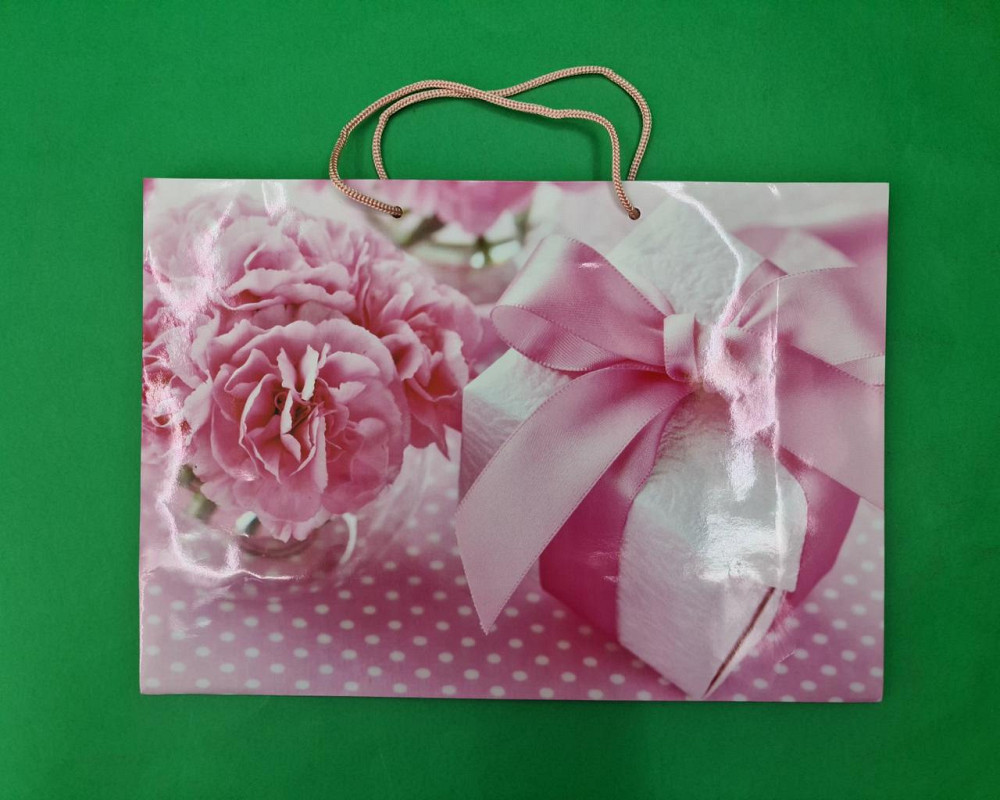 Паперовий великий горизонтальний пакет 36/22/10 (артBG-002) (12 шт.) Харків - фото 3