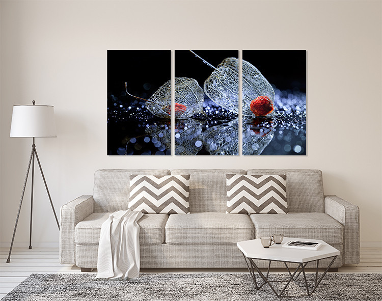 Модульная картина в гостиную / спальню   Фізаліс    ART-304_3A Киев - изображение 2