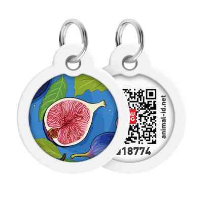 Адресник для животных WAUDOG Smart ID с QR паспортом "Инжир", круг 30 мм (230-4053) Винница