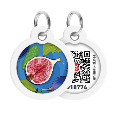 Адресник для животных WAUDOG Smart ID с QR паспортом "Инжир", круг 30 мм (230-4053) Винница - изображение 1