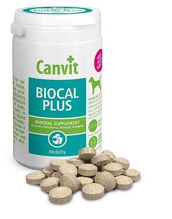 Canvit Biocal Plus (Канвит Биокаль Плюс) витаминная кормовая добавка для улучшения подвижности 230 г. Запорожье