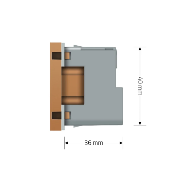 LIVOLO Розумна розетка LIVOLO золота з заземленням, шторки, керування зі смартфона, Alexa, Goog Коломыя