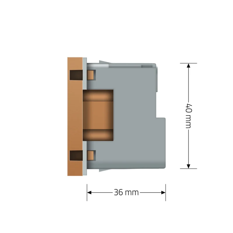 LIVOLO Розумна розетка LIVOLO золота з заземленням, шторки, керування зі смартфона, Alexa, Goog Коломыя - изображение 6