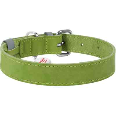 Нашийник для тварин WAUDOG Classic шкіряний 15 мм х 27-36 см салатовий (02075) Вінниця