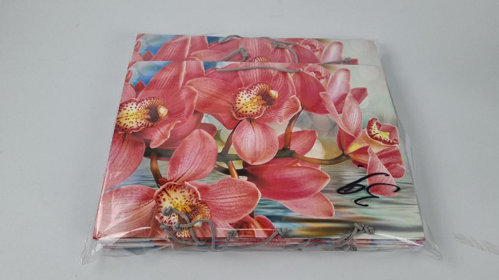 Бумажный пакет горизонтальный гигант 46*33*15 (артGG-039) (12 шт) Харьков - изображение 2