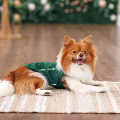 Борцовка Kale ТМ Pet Fashion для собак S зеленая Киев