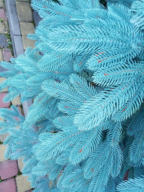 Елка искусственная новогодняя «Литая Премиум» голубая 1.5 / 1.8 / 2.1 / 2.3 / 2.5 м 2.1 Киев - изображение 7