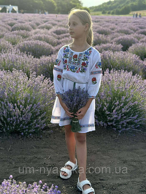 Дитяча вишита сукня натуральна тканина Кривий Ріг - фото 1