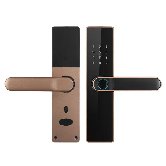 Замок біометричний автономний Trinix TRL-5402BTF Bronze з Bluetooth, зчитувачем відбитків пальців і карт Mifare (65-00072) Київ