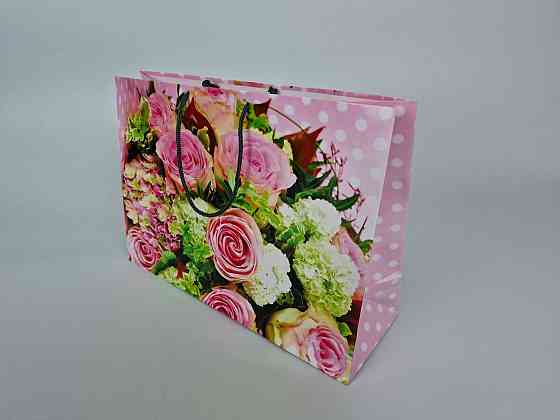 Паперовий великий горизонтальний пакет 36/22/10 (артBG-124) (12 шт.) Харків