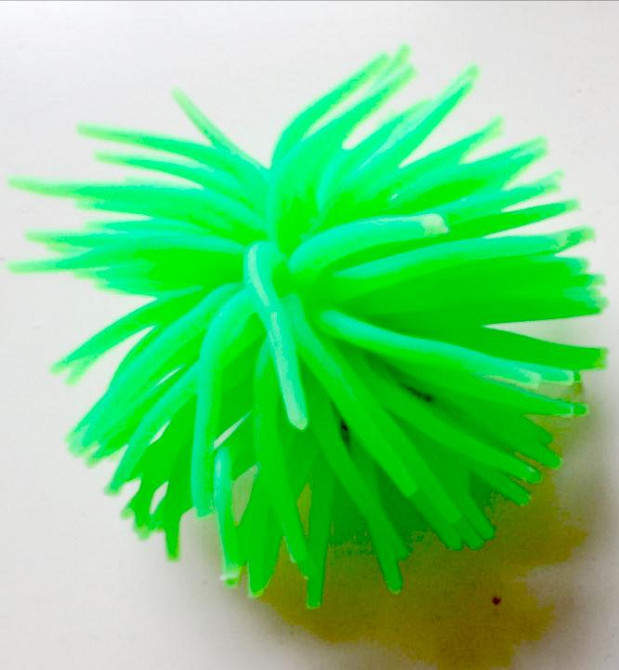 Яскравий декор в акваріум - Морський їжак. Київ - фото 1