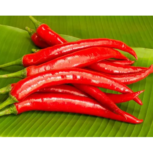 Перець гострий Ангаріка F1 10шт Професійне насіння Житомир - фото 3