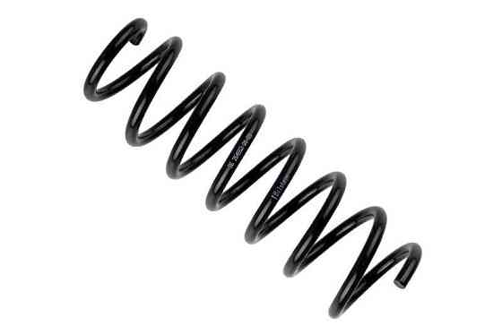 Пружина передня Raiso (Швеція) BMW 5 (F11), БМВ 5 (Ф11) 10- #SF132TP UATGPWO22 Ковель