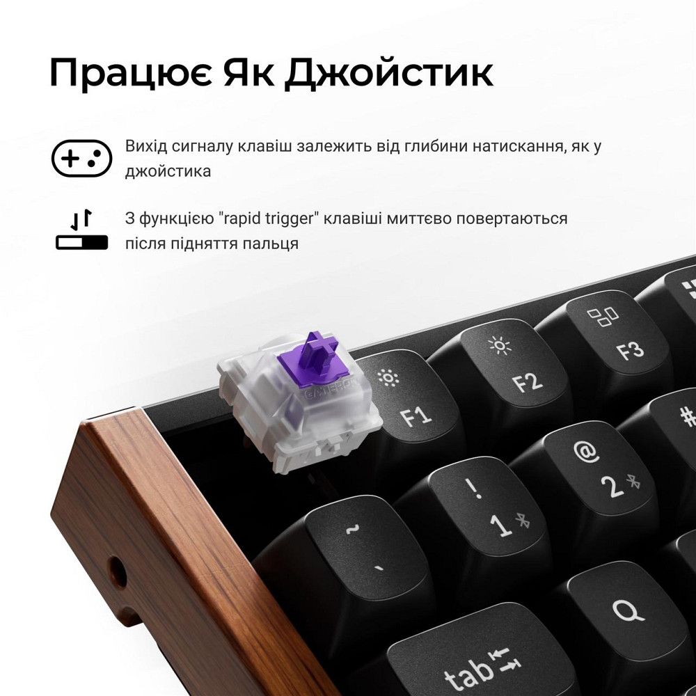Клавіатура бездротова Keychron K2 HE Magnetic Switch Black RGB (K2H-F1-UA) ( 27398 ) Харьков - изображение 14