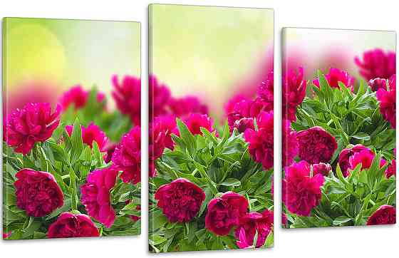 Модульна картина Кольори Піони Art-236_3 100x150 см Київ