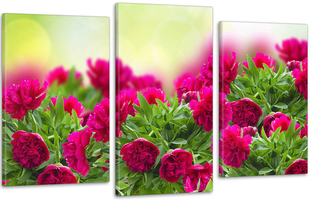 Модульна картина Кольори Піони Art-236_3 100x150 см Київ - фото 1
