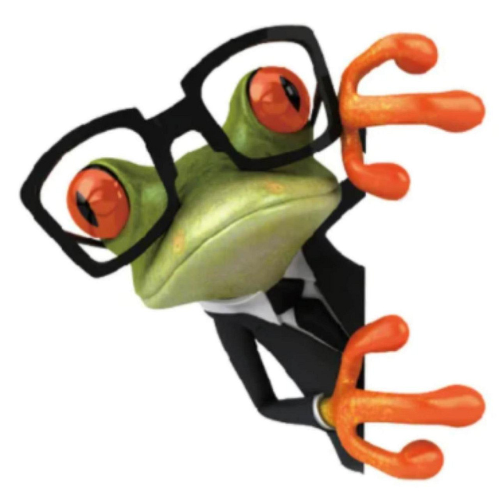 Наклейка интерьерная Лягушка в очках Киев - изображение 1