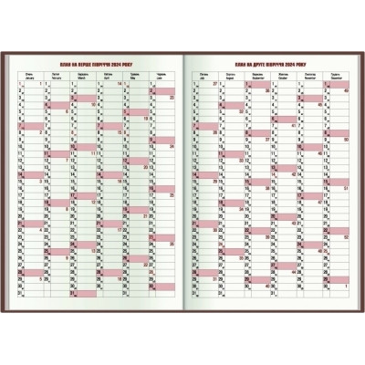 Еженедельник Economix датированный 2024 SATIN фисташковый, А5 (E21612-67) Винница - изображение 3