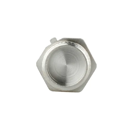 Заглушка Thermo Alliance Forte 3/4" НР SF35320 Київ